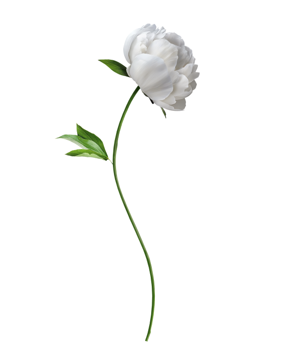 Лучшее от природы для удовольствия с любовью к себе….